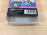 Royal Stone Hirakareshi Toki no Tobira BOXED Sega Game Gear Japan - DG8777