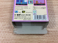 dh9823 Mickey Mouse no Castle Illusion BOXED Sega Game Gear Japan