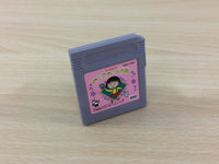 uc5290 Chibi Maruko chan Okozukai Daisakusen BOXED GameBoy Game Boy Japan