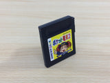 Pocket Densha 2 BOXED GameBoy Game Boy Japan - UD4758