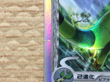 CC5542 Flygon delta GrassMetal Rare Holo PCG7 003/052 Pokemon Card TCG Japan