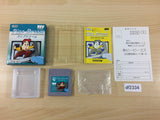 df2334 Pipe Dream Mania BOXED GameBoy Game Boy Japan
