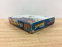 dh3336 Bare Knuckle Ikari no Tekken BOXED Sega Game Gear Japan
