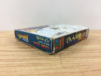 dh3336 Bare Knuckle Ikari no Tekken BOXED Sega Game Gear Japan
