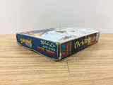 dh3336 Bare Knuckle Ikari no Tekken BOXED Sega Game Gear Japan