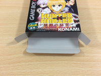 ud7024 Hunter X Hunter Kindan no Hihou BOXED GameBoy Game Boy Japan