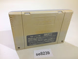 Street Fighter II 2 SNES Super Famicom Japan - SE8239