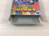 Shadow of the Ninja Kage Ninja Gaiden Ryukenden BOXED Game Boy Japan - UC3801