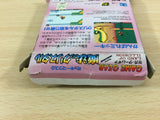 Mickey Mouse Mahou no Crystal BOXED Sega Game Gear Japan - UB9523