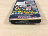 Granduel BOXED GameBoy Game Boy Japan - UB4129