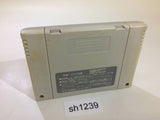 Street Fighter II 2 SNES Super Famicom Japan - SH1239