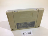 Street Fighter II 2 SNES Super Famicom Japan - SF1825