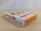 Super Gals! Kotobuki Ran 2 BOXED GameBoy Game Boy Japan - UD3135