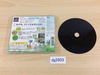 dg2603 Doko Demo Issyo Playstation The Best PS1 Japan