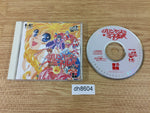 dh8604 Princess Minerva SUPER CD ROM 2 PC Engine Japan
