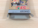 Detective Conan Chika Yuuenchi Satsujin Jiken BOXED Game Boy Japan - UD7800