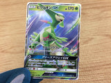 CA5524 Virizion GX Grass RR SM7a 006/060 Pokemon Card TCG Japan
