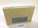 Hanjuku Hero SNES Super Famicom Japan - SE3613