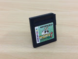 Harvest Moon Bokujo Monogatari 2 GB BOXED GameBoy Game Boy Japan - UC9711