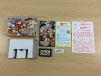 ub9041 Summon Night Craft Sword Story BOXED GameBoy Advance Japan