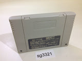Fighter's History 2 Mizoguchi Kiki Ippatsu SNES Super Famicom Japan - SG3321