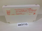 Crystalis God Slayer Haruka Tenkuu no Sonata NES Famicom Japan - AE3110