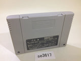 Koryu no Mimi Kouryu SNES Super Famicom Japan - SE3617