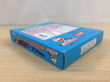 Doraemon no StudyBoy 6 Gakushuu KanjiMaster 1006 BOXED Game Boy Japan - UB9329