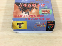 DF9848 Ninku BOXED Sega Game Gear Japan