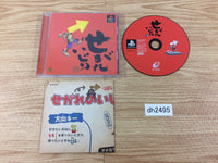 DH2495 Segare Ijiri PS1 Japan