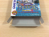 Super Black Bass Pocket 3 BOXED GameBoy Game Boy Japan - UD6912