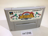 Hanjuku Hero SNES Super Famicom Japan - SE1246