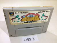 SC5375 Hanjuku Hero SNES Super Famicom Japan