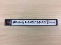 DG2364 Motto! Nyan To Wonderful 2 PS1 Japan