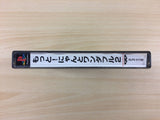 DG2364 Motto! Nyan To Wonderful 2 PS1 Japan