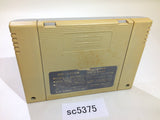 SC5375 Hanjuku Hero SNES Super Famicom Japan