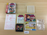 Tatakae! Pro Yakyuu Twin League BOXED Sega Game Gear Japan - UB4671