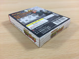 df1454 Chocobo no Fushigi na Dungeon BOXED Wonder Swan Bandai Japan