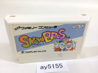 ay5155 Snow Bros. Brothers NES Famicom Japan