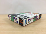 ub4671 Tatakae! Pro Yakyuu Twin League BOXED Sega Game Gear Japan