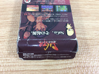 DH6450 The Final Fantasy Legend BOXED Wonder Swan Bandai Japan
