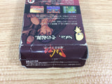 DH6450 The Final Fantasy Legend BOXED Wonder Swan Bandai Japan