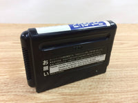 DI3137 Fantasia Mickey Mouse Magic BOXED Mega Drive Genesis Japan