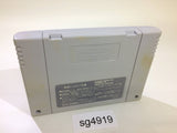 Hanjuku Hero SNES Super Famicom Japan - SG4919