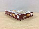 Daisuki Teddy Bear BOXED GameBoy Advance Japan - UB1810