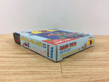 Monster World 2 Dragon no Wana BOXED Sega Game Gear Japan - DH3341