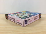 Lunar Sanposuru Gakuen BOXED Sega Game Gear Japan - DF9850