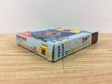 Monster World 2 Dragon no Wana BOXED Sega Game Gear Japan - DH3341