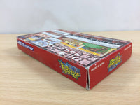 ub9043 One Piece Dragon Dream BOXED GameBoy Advance Japan