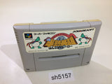 Hanjuku Hero SNES Super Famicom Japan - SH5157